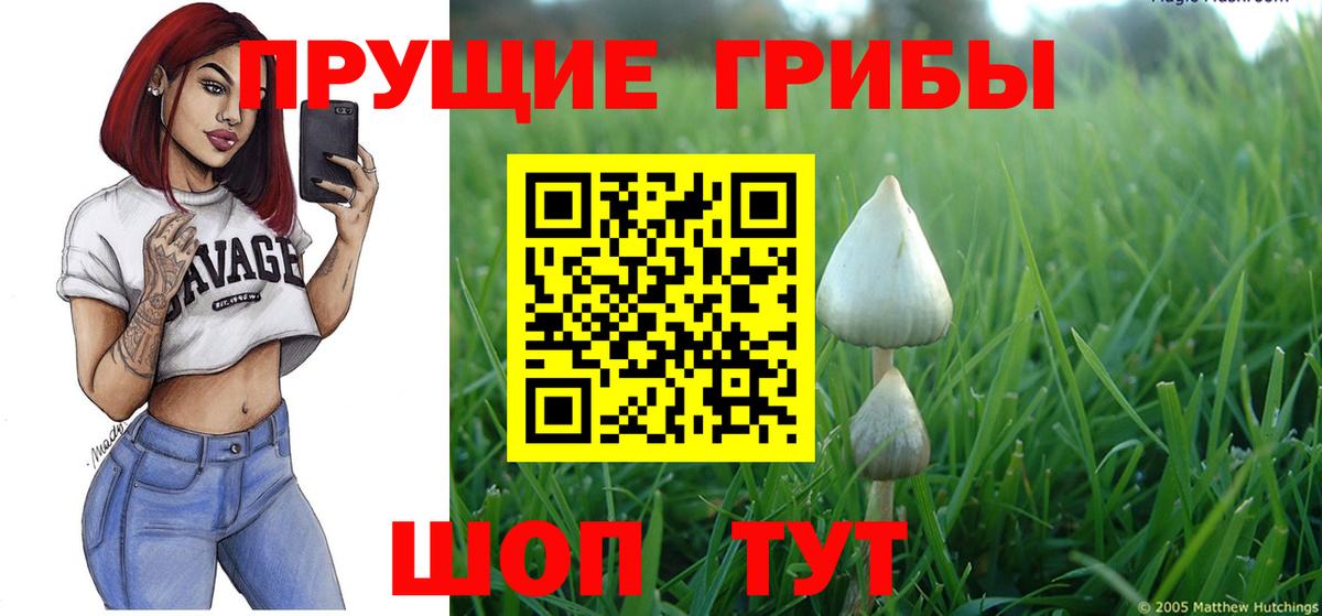 Каннабис Печора